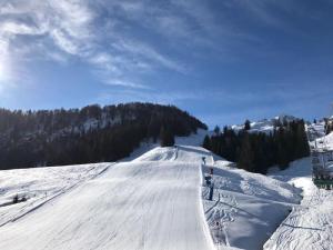 2017 Februar Skifahren in Fieberbrunn